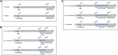 Valproic Acid Induces Autism-Like Synaptic and Behavioral Deficits by Disrupting Histone Acetylation of Prefrontal Cortex ALDH1A1 in Rats